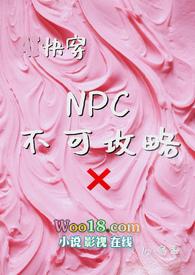 可以搞npc npc不反抗