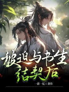 丹师剑宗免费阅读