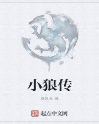 小狼传说记录仪x60