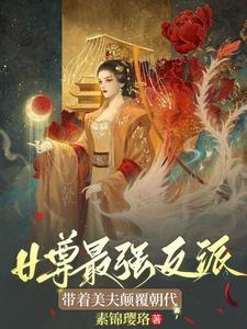 穿越女尊王爷闲王